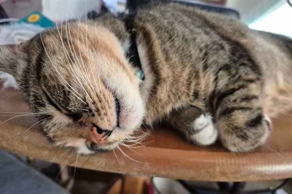 Hervey Bay, Queensland, Australia