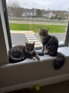 Wicklow, Wicklow, Wicklow Town Ireland