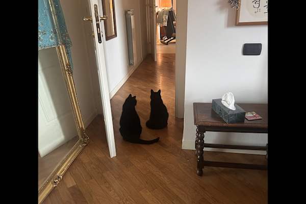 Lucca, Tuscany, Italy