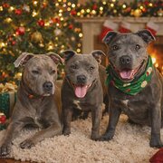 Yeppoon, Queensland, Australia