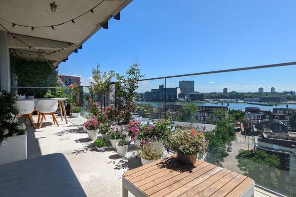 Rotterdam, South Holland, Netherlands