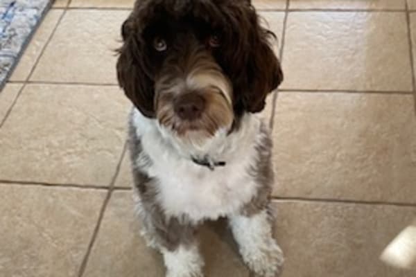 Naples, Florida, United States