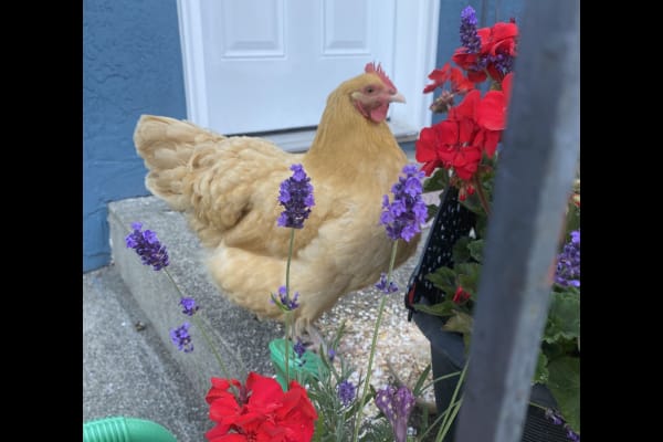 Victoria, British Columbia, Canada