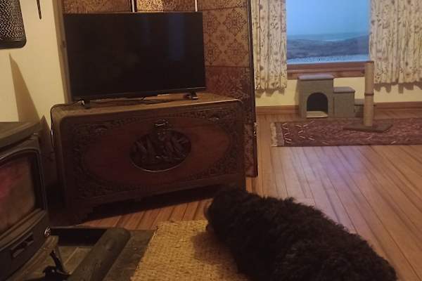 Stornoway, Scotland, United Kingdom