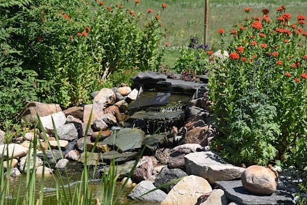 Millet, Alberta, Canada