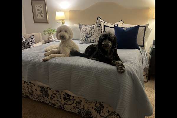 Mint Hill, North Carolina, United States