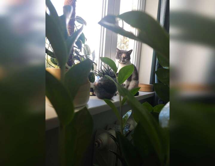 Vidzemes priekšpilsēta, Rīga, Latvia