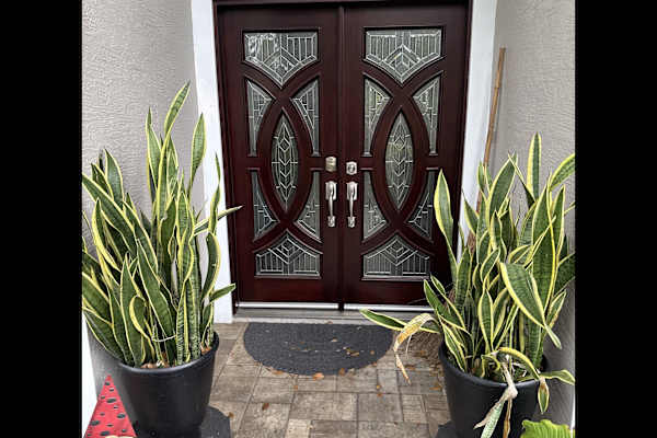 Citrus Park, Florida, United States