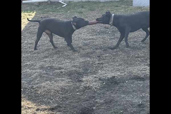 Woodbury, New Jersey, United States