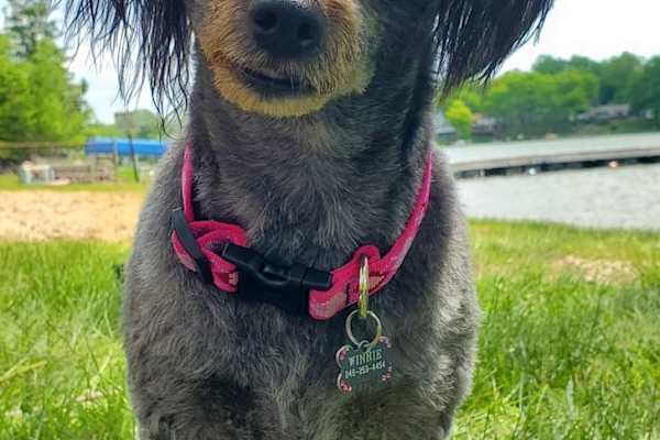 Hartland, Michigan, United States