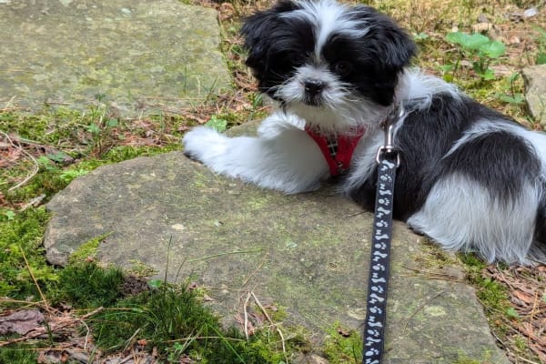 Asheville, North Carolina, United States