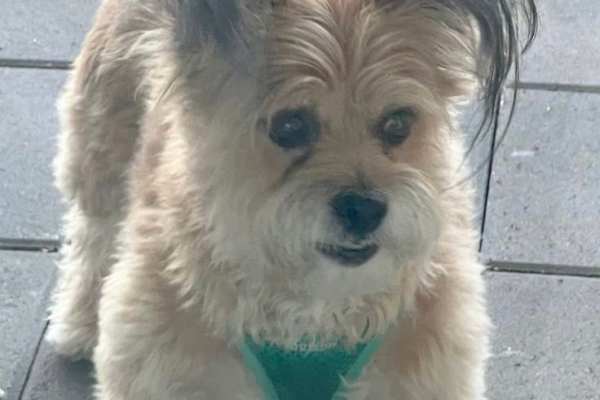 West Palm Beach, Florida, United States