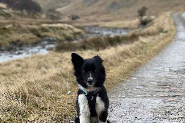 Beauly, Scotland, United Kingdom