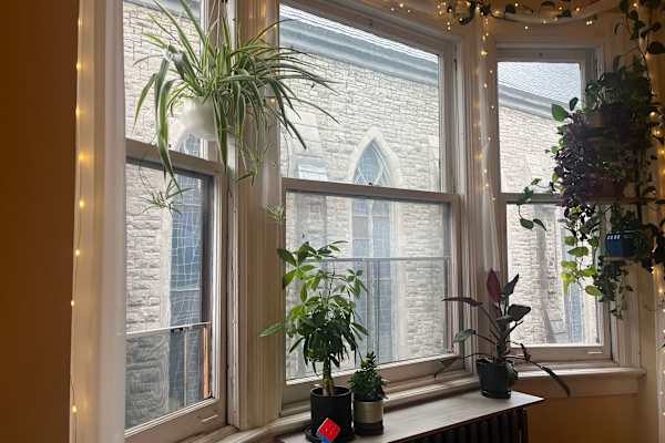 Albany, New York, United States