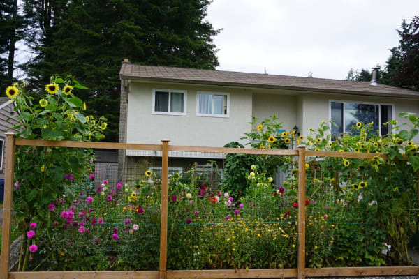 Comox, British Columbia, Canada