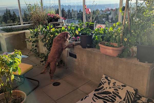 Burnaby, British Columbia, Canada