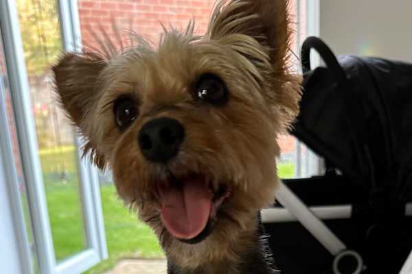 Kettering, England, United Kingdom