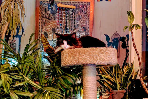 Peterborough, England, United Kingdom