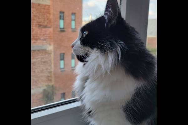 Brussels, Brussels Capital, Belgium