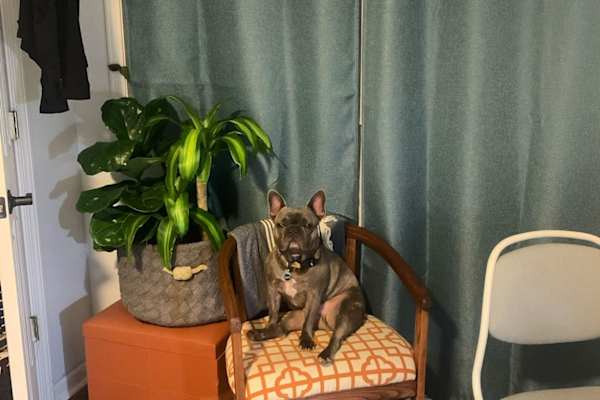 Atlanta, Georgia, United States