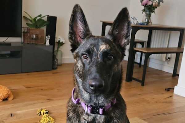 Ipswich, England, United Kingdom