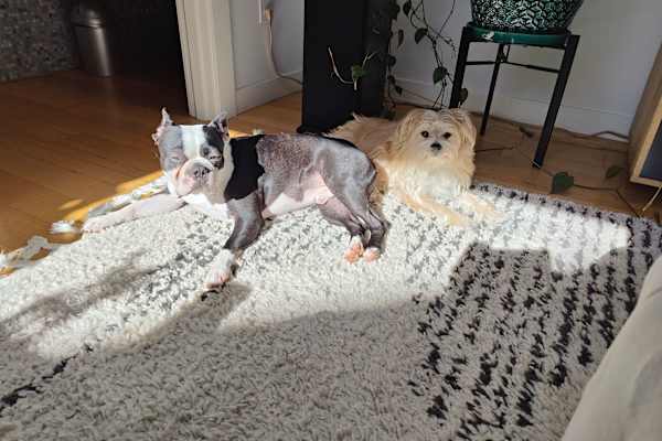 Seattle, Washington, United States