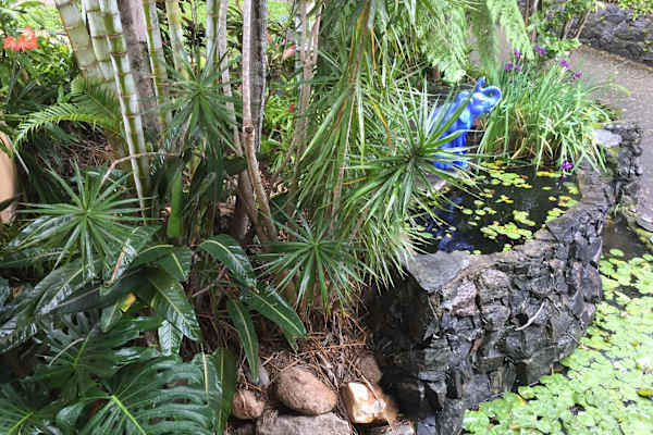 Fig Tree Pocket, Queensland, Australia