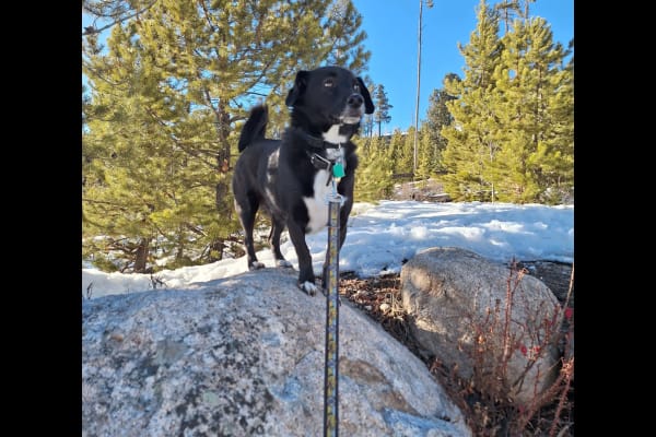 Keystone, Colorado, United States