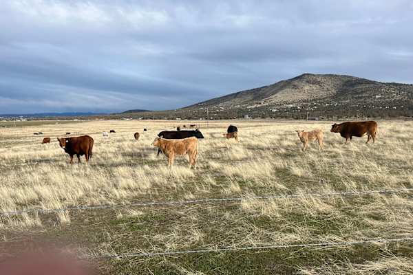 Redmond, Oregon, United States