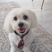 Palmview, Queensland, Australia