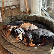 Coolum Beach, Queensland, Australia