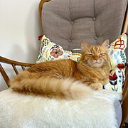 Scarborough, Western Australia, Australia