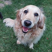 Seaford, Victoria, Australia