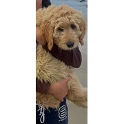 Aireys Inlet, Victoria, Australia