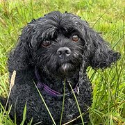 Sale, Victoria, Australia