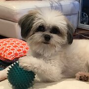 Tuggerawong, New South Wales, Australia