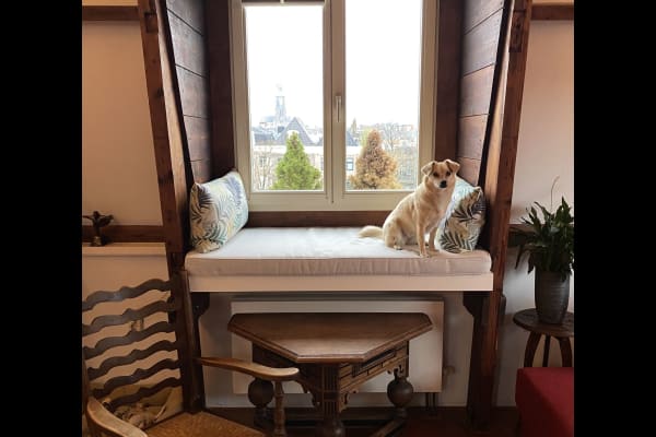 Amsterdam, North Holland, Netherlands