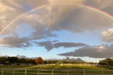 Stellenbosch,Western Cape,South Africa