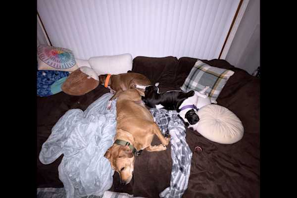 Aurora, Illinois, United States