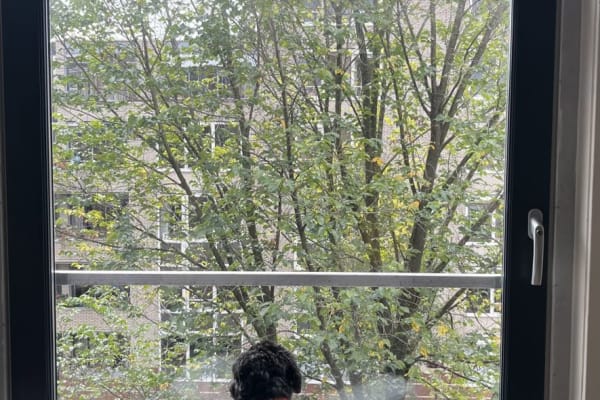 Amsterdam, North Holland, Netherlands