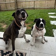 Lawton, Queensland, Australia