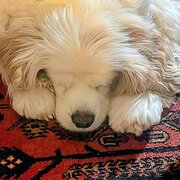 Perth, Western Australia, Australia