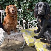 Watlington, South East England, UK