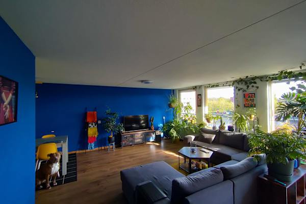 Amsterdam, North Holland, Netherlands