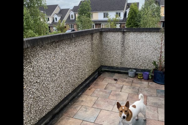 Luimneach, Munster, Ireland