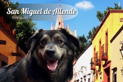 San Miguel de Allende, Gto, Mexico