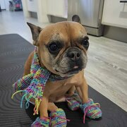 Ascot, Queensland, Australia