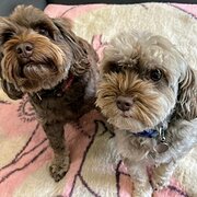 Ballogie, Queensland, Australia