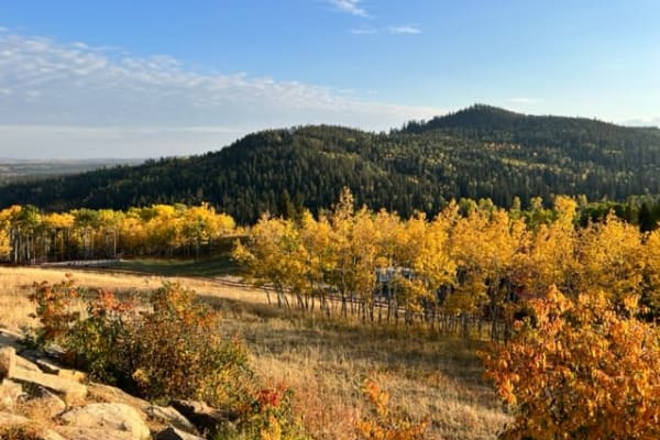 Calgary, Alberta, Canada