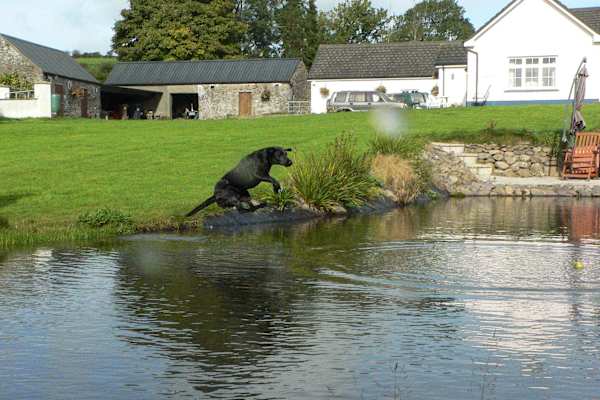 Dungarvan, Munster, Ireland